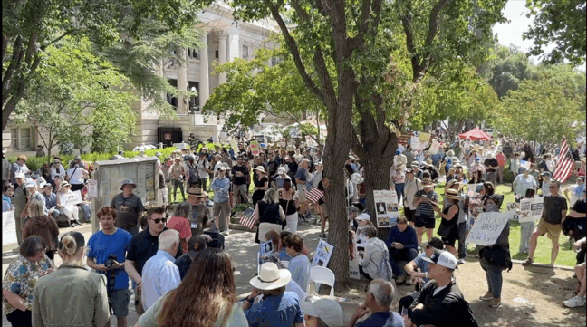 Crowd gathered outside the old courthouse in Woodland at June No Kings rally